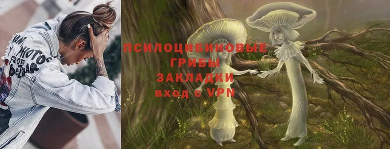 Галлюциногенные грибы Magic Shrooms  Петровск 